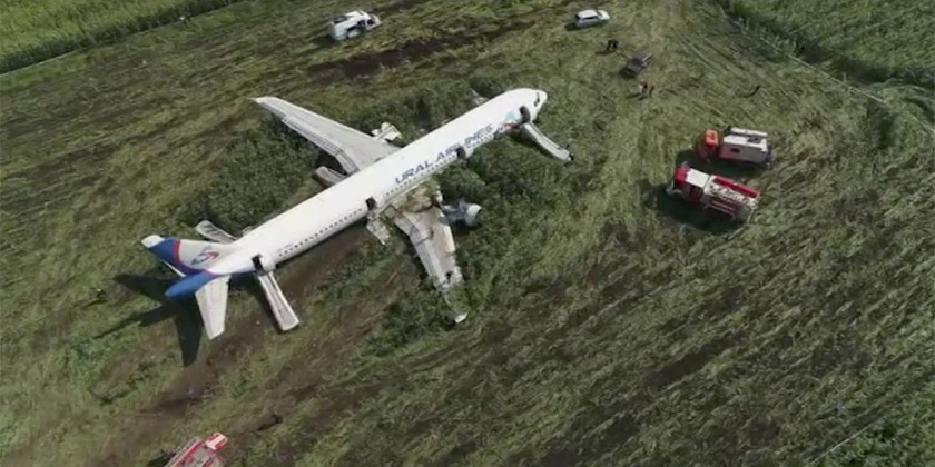 Представитель аэропорта «Жуковский» отказался отвечать на вопрос о птицах, попавших в двигатель самолета