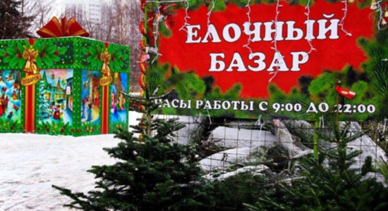С 10 декабря в Жуковском начинают свою работу елочные базары