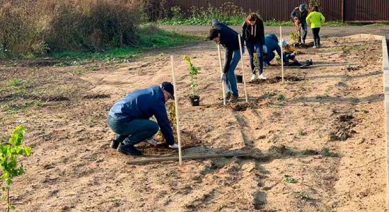 Ко второму этапу акции «Наш лес. Посади свое дерево» присоединились жители района Междуречье