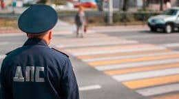 В Жуковском запланировано проведение профилактического мероприятия «Пешеходный переход»