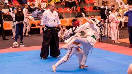 Жуковские каратисты блестяще выступили на Кубке Федерации в Ногинске