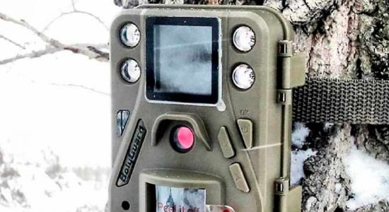 Для борьбы с незаконными свалками на территории Жуковского установлены фотоловушки