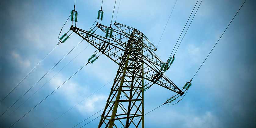 На улице Семашко проведут опиловку и вырубку деревьев в зоне воздушных линий электропередач