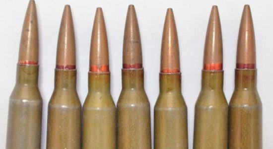 У местного жителя в Жуковском полицейские изъяли патроны