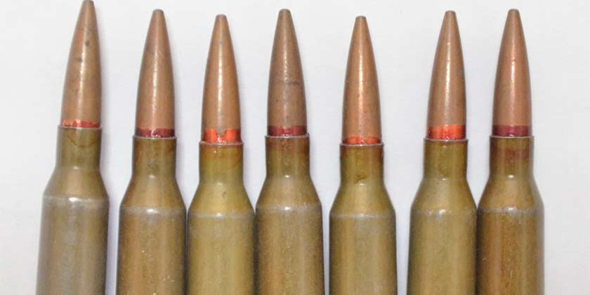 У местного жителя в Жуковском полицейские изъяли патроны