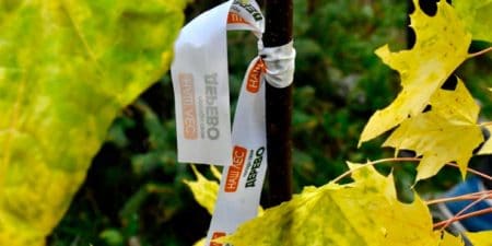 18 сентября в Жуковском пройдет второй этап акции «Наш лес. Посади свое дерево» 18 сентября в Жуковском пройдет второй этап акции «Наш лес. Посади свое дерево»