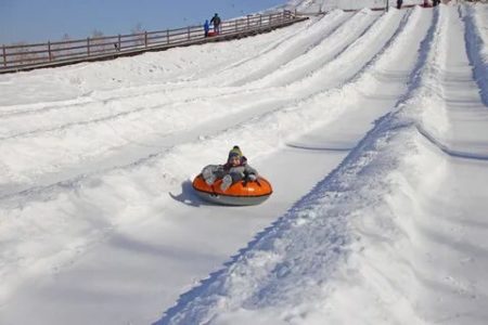 В МЧС предупредили об опасностях катания на «ватрушках» ватрушка