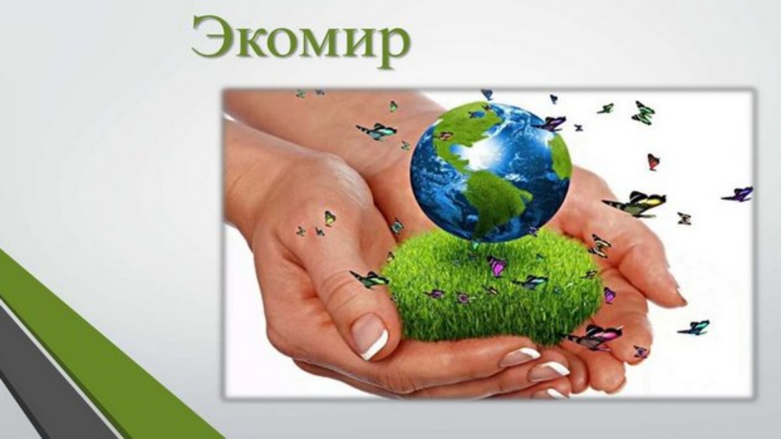 Минэкологии приглашает принять участие в Международной экологической премии «ЭкоМир»-2023